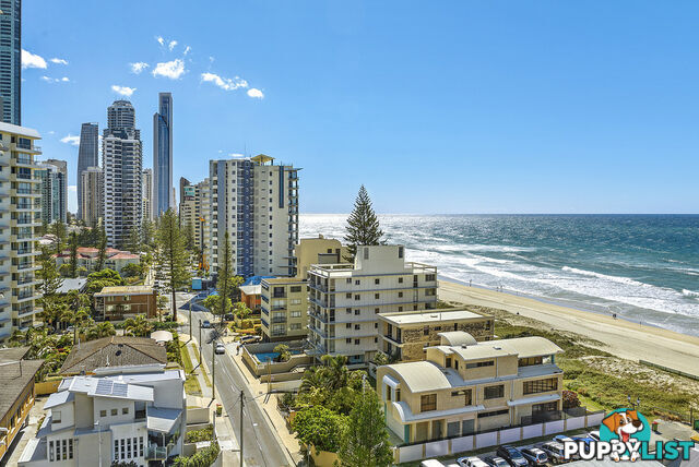 40/4 Thornton Street SURFERS PARADISE QLD 4217