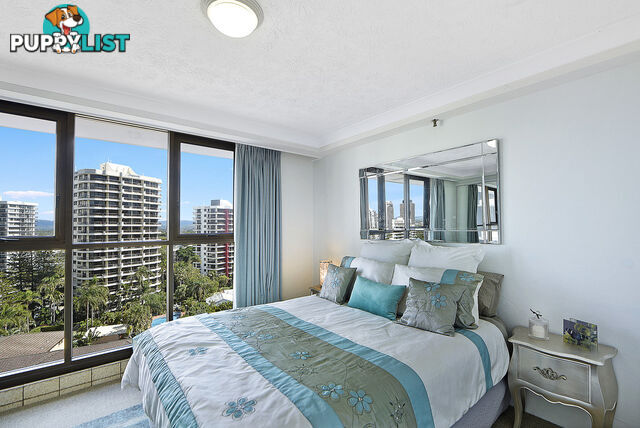 40/4 Thornton Street SURFERS PARADISE QLD 4217