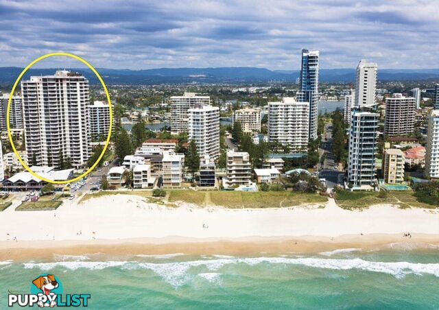 40/4 Thornton Street SURFERS PARADISE QLD 4217