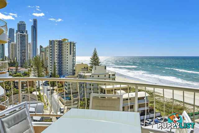 40/4 Thornton Street SURFERS PARADISE QLD 4217