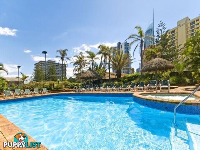 40/4 Thornton Street SURFERS PARADISE QLD 4217