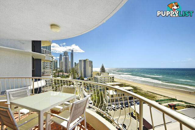 40/4 Thornton Street SURFERS PARADISE QLD 4217