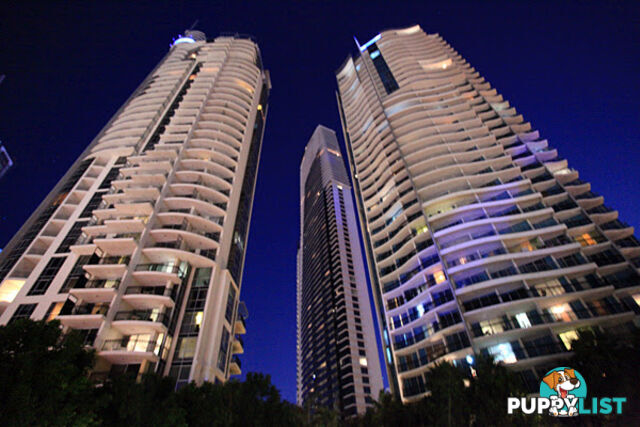 3172/23 Ferny Avenue SURFERS PARADISE QLD 4217