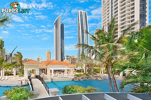 2076/23 Ferny Avenue SURFERS PARADISE QLD 4217