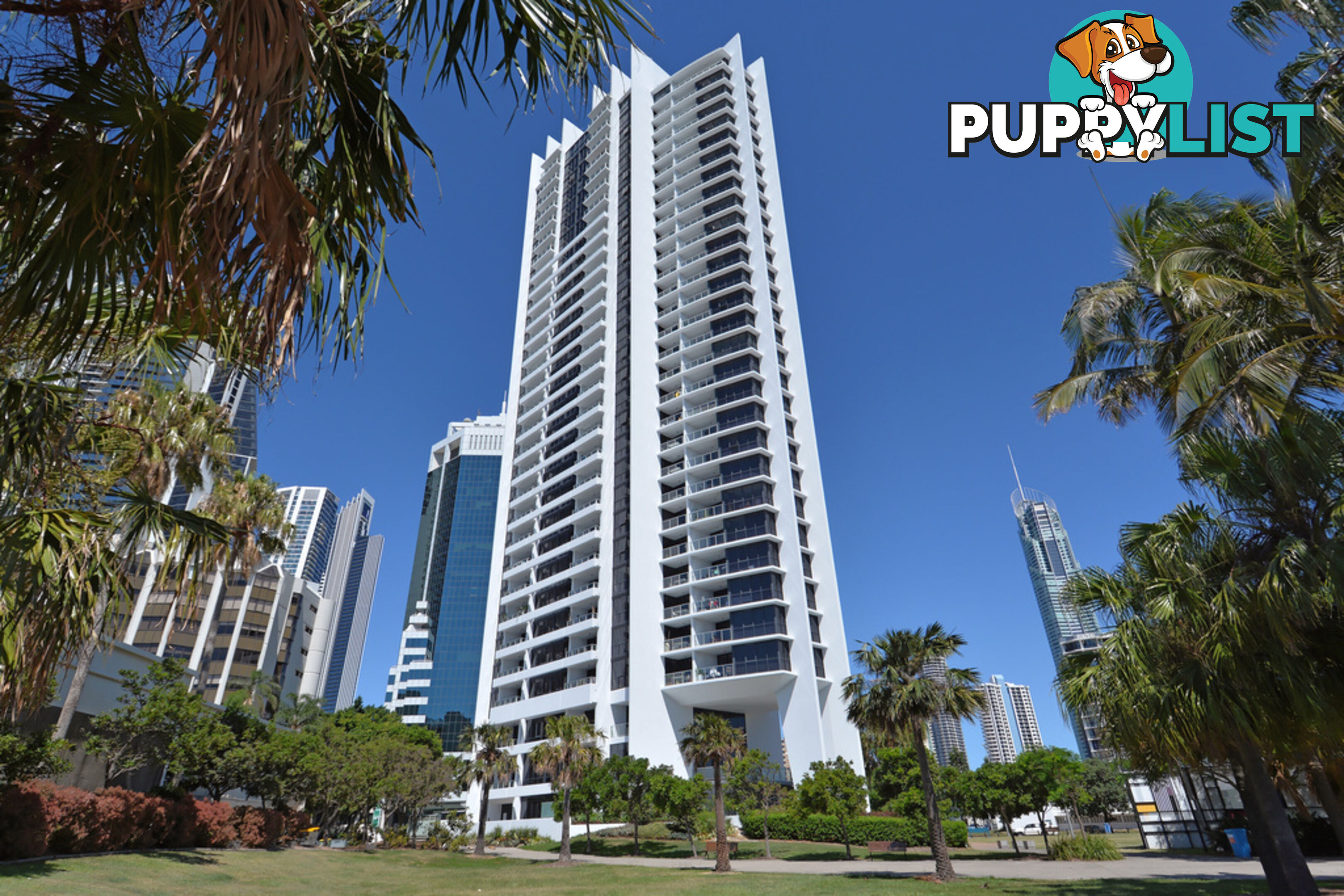 SURFERS PARADISE QLD 4217