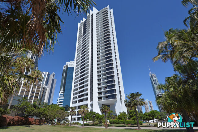 SURFERS PARADISE QLD 4217