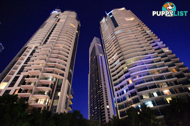 2272/23 Ferny Avenue SURFERS PARADISE QLD 4217