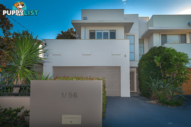 1/56 Bayview Street RUNAWAY BAY QLD 4216