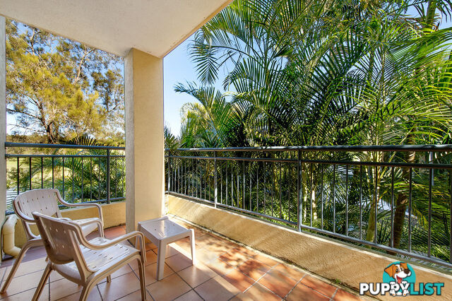 5109/64 Palm Meadows Drive CARRARA QLD 4211