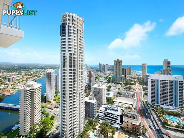 1332/23 Ferny Avenue SURFERS PARADISE QLD 4217