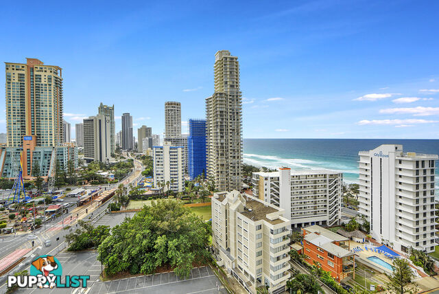 1401/3197 Surfers Paradise Boulevard SURFERS PARADISE QLD 4217