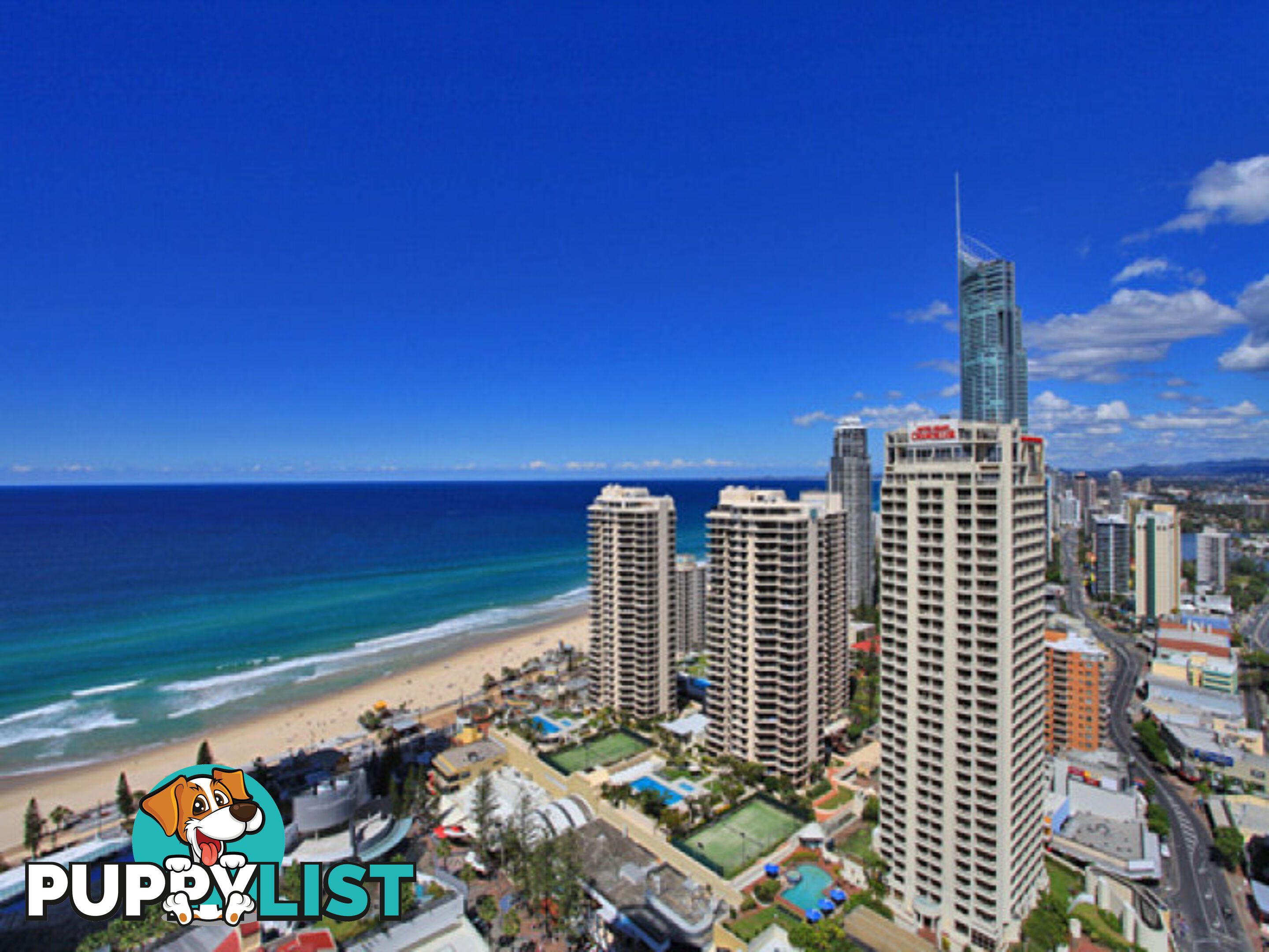 13205/3113 Surfers Paradise Boulevard SURFERS PARADISE QLD 4217