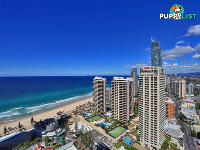 13205/3113 Surfers Paradise Boulevard SURFERS PARADISE QLD 4217