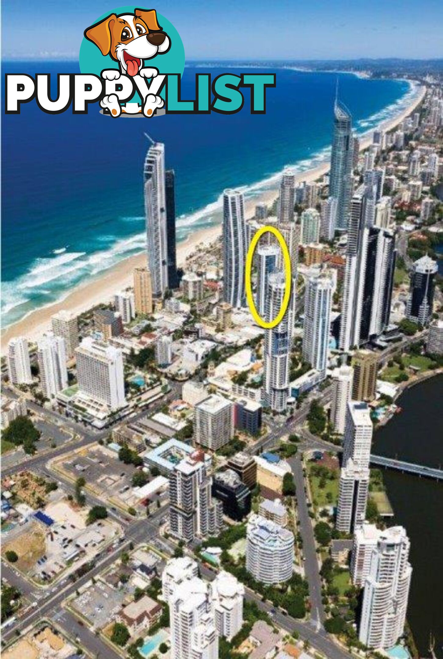 13205/3113 Surfers Paradise Boulevard SURFERS PARADISE QLD 4217