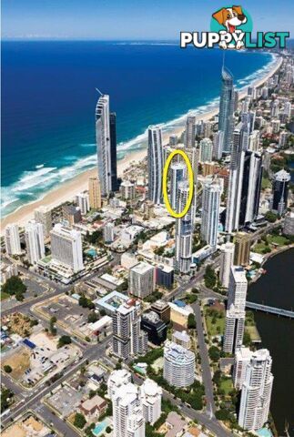 13205/3113 Surfers Paradise Boulevard SURFERS PARADISE QLD 4217