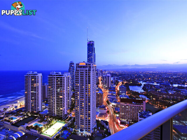 13205/3113 Surfers Paradise Boulevard SURFERS PARADISE QLD 4217