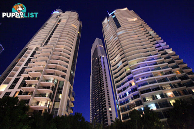 3073/23 Ferny Avenue SURFERS PARADISE QLD 4217