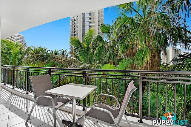 3073/23 Ferny Avenue SURFERS PARADISE QLD 4217