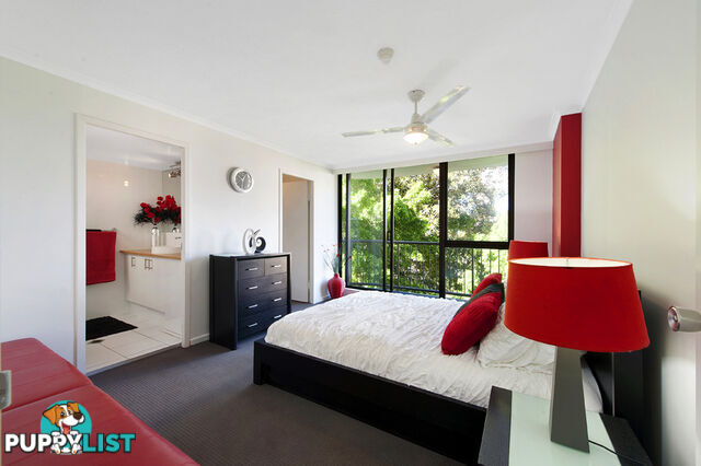 43 Enderley Avenue SURFERS PARADISE QLD 4217