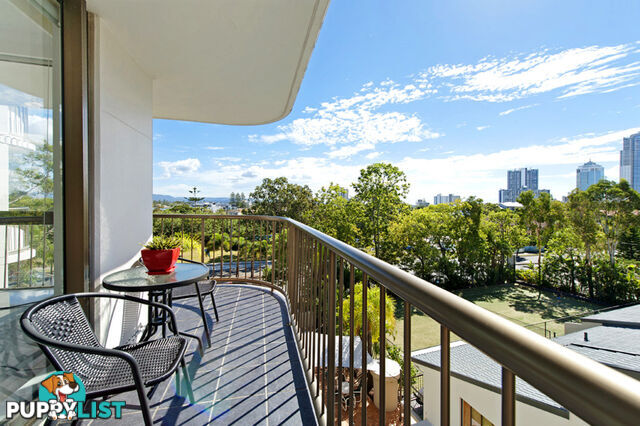 43 Enderley Avenue SURFERS PARADISE QLD 4217