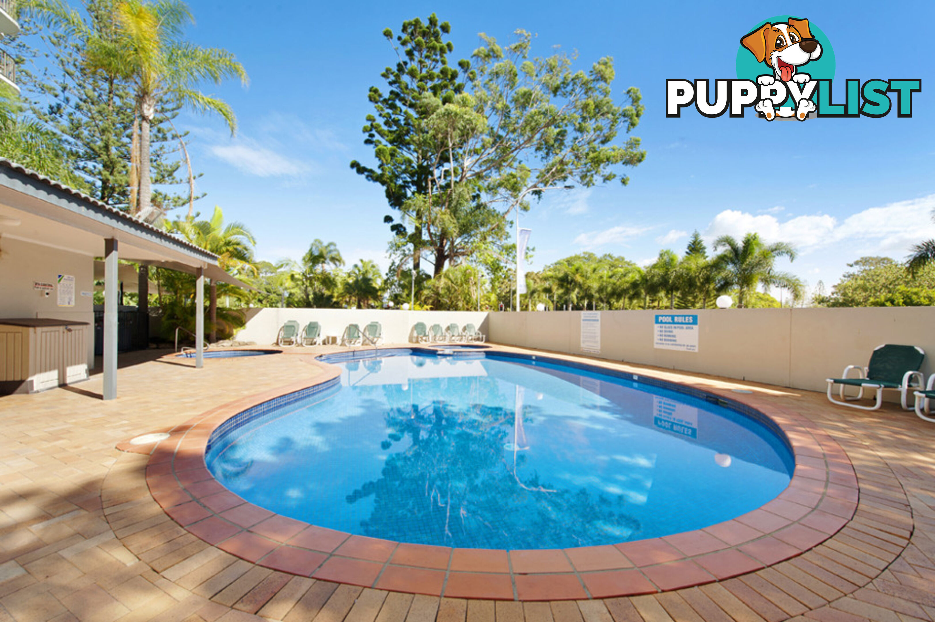 43 Enderley Avenue SURFERS PARADISE QLD 4217