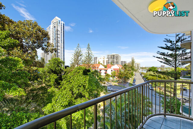 43 Enderley Avenue SURFERS PARADISE QLD 4217