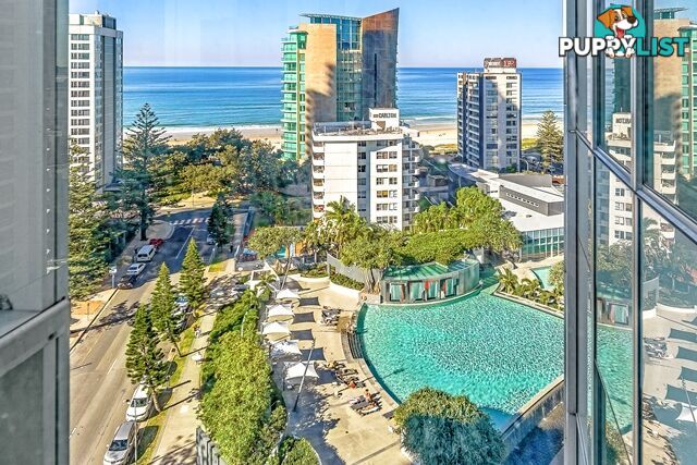 1202/9 Hamilton Avenue SURFERS PARADISE QLD 4217