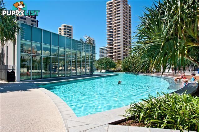 1202/9 Hamilton Avenue SURFERS PARADISE QLD 4217