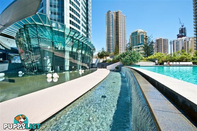 1202/9 Hamilton Avenue SURFERS PARADISE QLD 4217