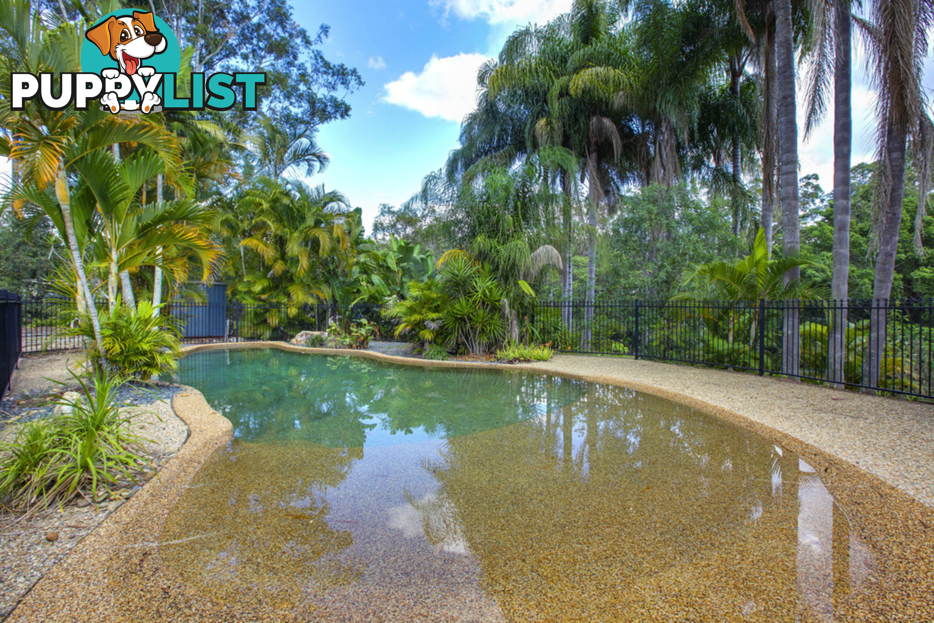 14 Princess Place TALLAI QLD 4213