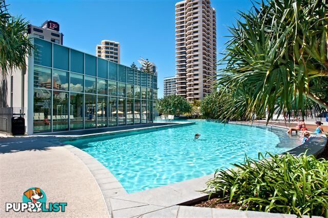 2705/9 Hamilton Avenue SURFERS PARADISE QLD 4217