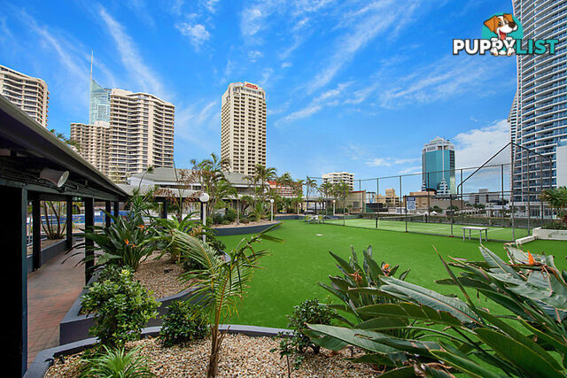 701/3 Orchid Ave SURFERS PARADISE QLD 4217