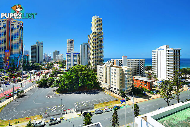 3197 Surfers Paradise Boulevard SURFERS PARADISE QLD 4217