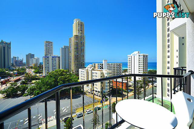 3197 Surfers Paradise Boulevard SURFERS PARADISE QLD 4217