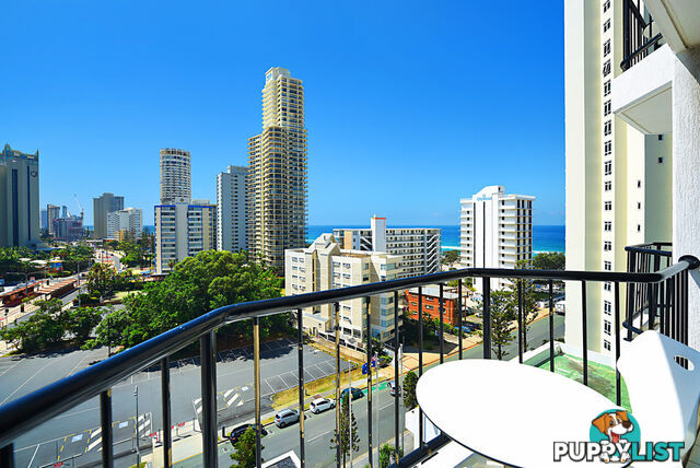 3197 Surfers Paradise Boulevard SURFERS PARADISE QLD 4217