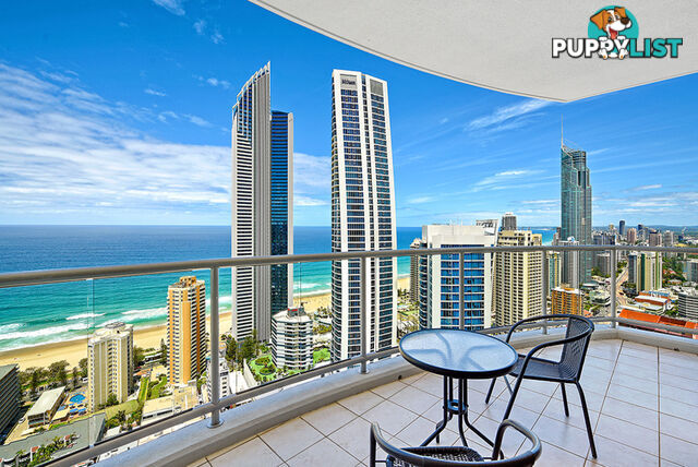 1372/23 Ferny Avenue SURFERS PARADISE QLD 4217