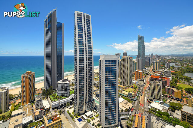 1372/23 Ferny Avenue SURFERS PARADISE QLD 4217