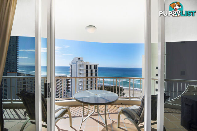 251/6 View Avenue SURFERS PARADISE QLD 4217