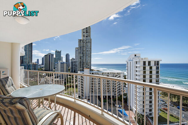 251/6 View Avenue SURFERS PARADISE QLD 4217