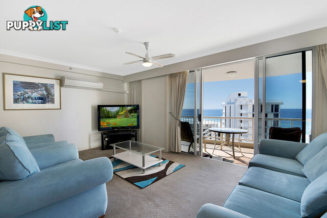 251/6 View Avenue SURFERS PARADISE QLD 4217