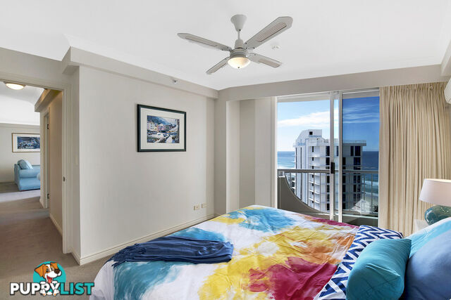 251/6 View Avenue SURFERS PARADISE QLD 4217