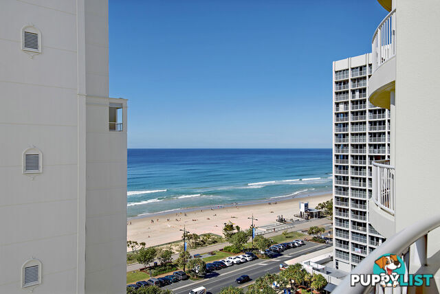 251/6 View Avenue SURFERS PARADISE QLD 4217