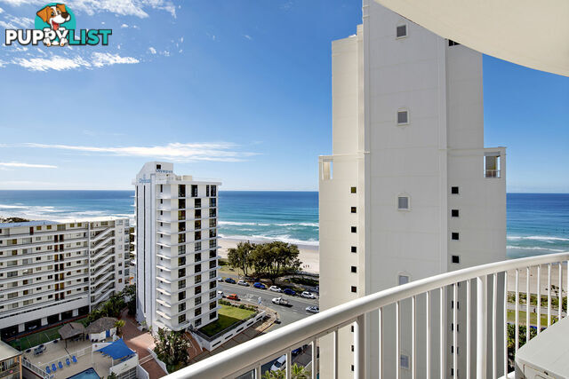 251/6 View Avenue SURFERS PARADISE QLD 4217