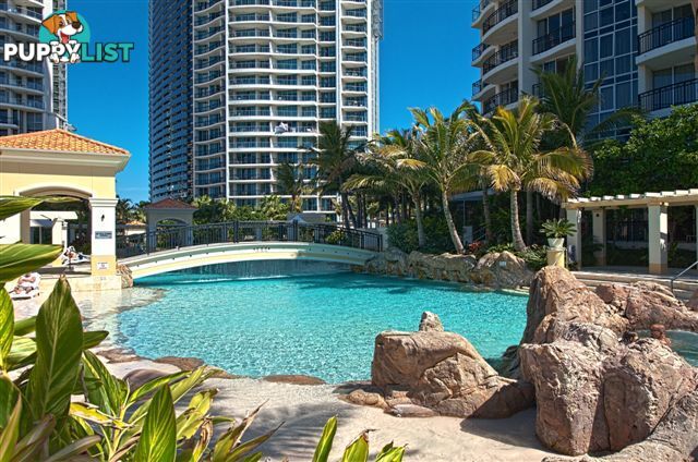 2044/23 Ferny Avenue SURFERS PARADISE QLD 4217