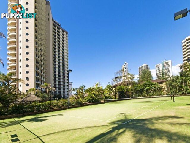 16/4 Thornton Street SURFERS PARADISE QLD 4217