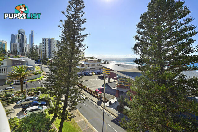 16/4 Thornton Street SURFERS PARADISE QLD 4217