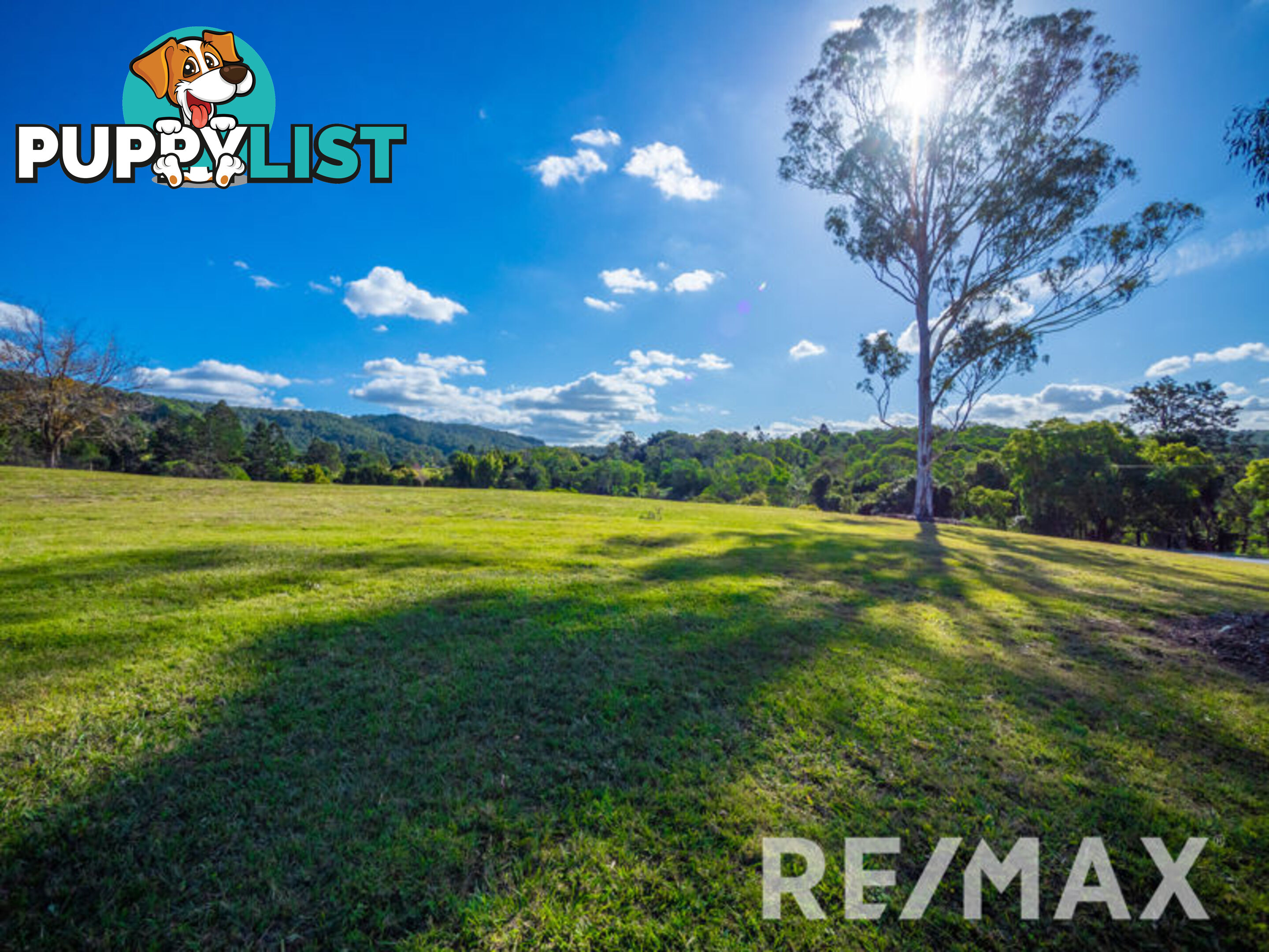 112 Buranda Road CLEAR MOUNTAIN QLD 4500