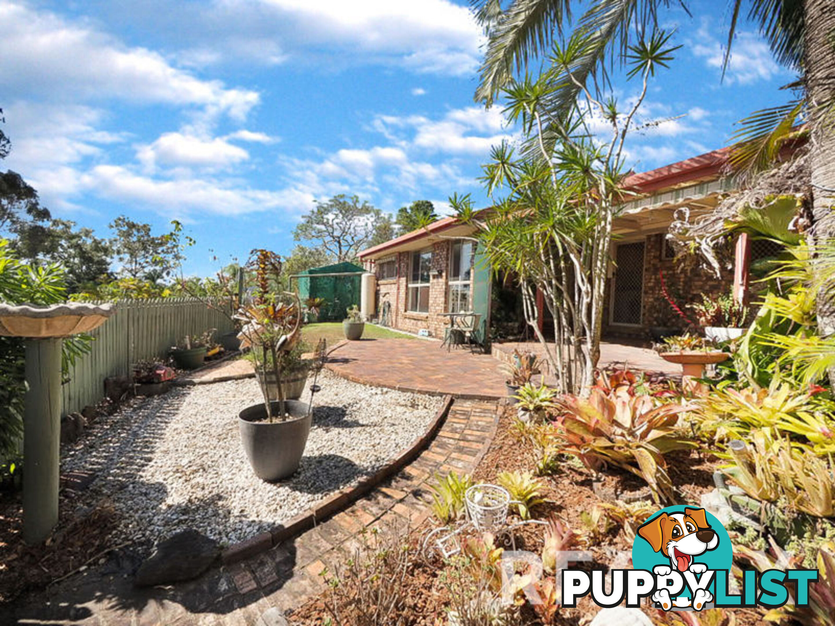 10 Biggs Court ALBANY CREEK QLD 4035