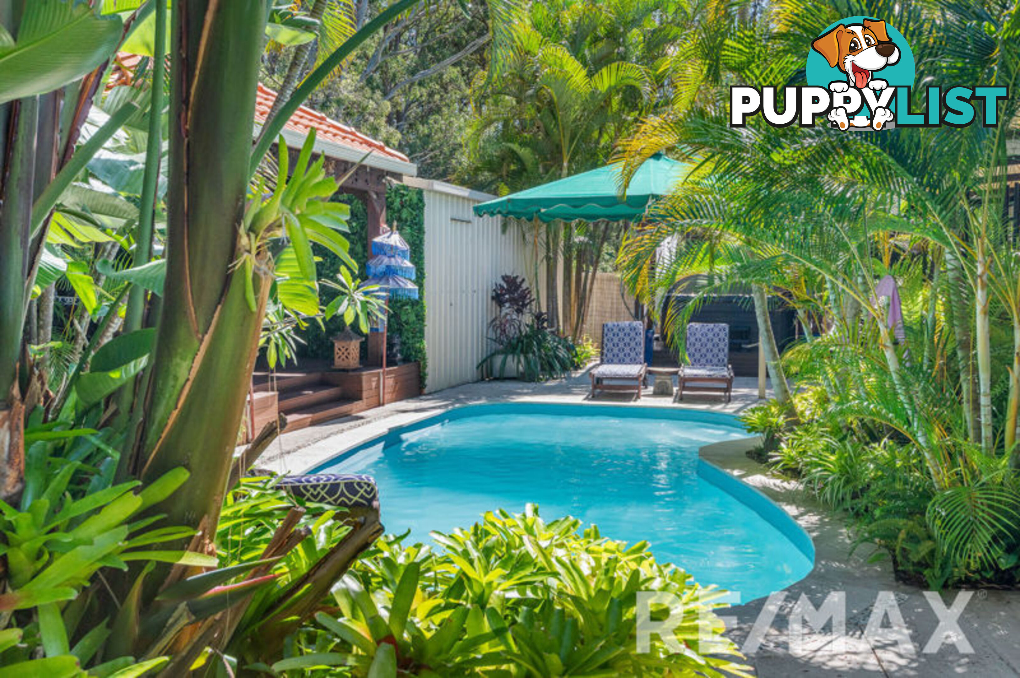 13 Champions Court ALBANY CREEK QLD 4035