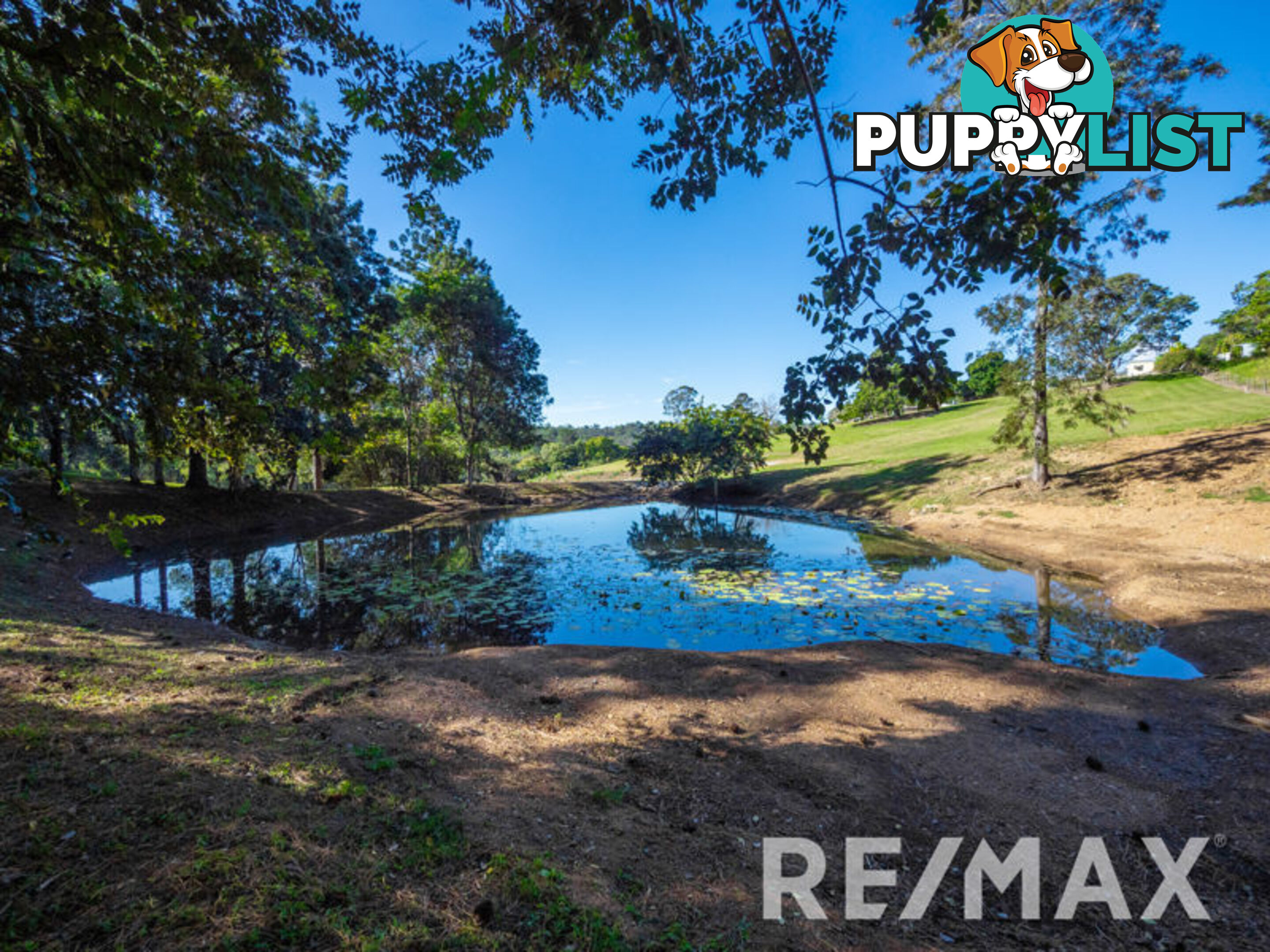 13 Camfin Road CLEAR MOUNTAIN QLD 4500